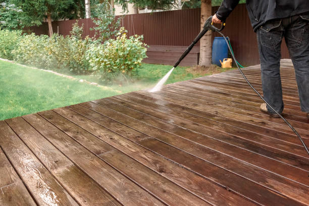 Animal Enclosure Cleaning in Tuckahoe, VA