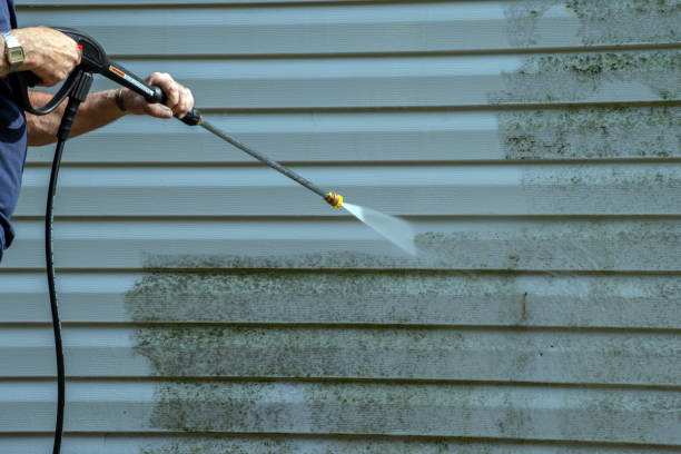 Best Oil Spill Cleanup  in Tuckahoe, VA